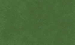 Decorazza STUCCO VENEZIANO / Цвет #SV  10-115